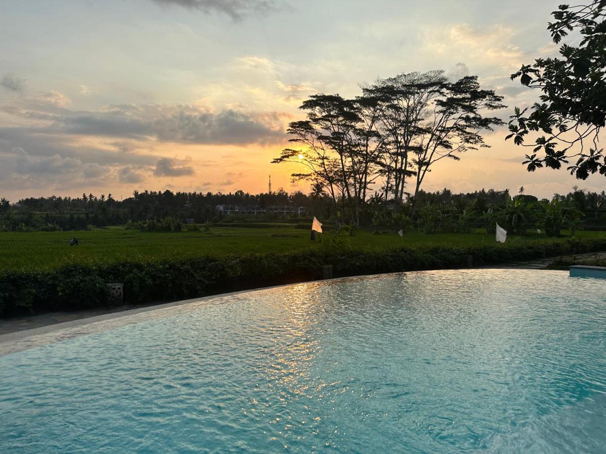 Griya Kcb Villa Ubud  Luaran gambar