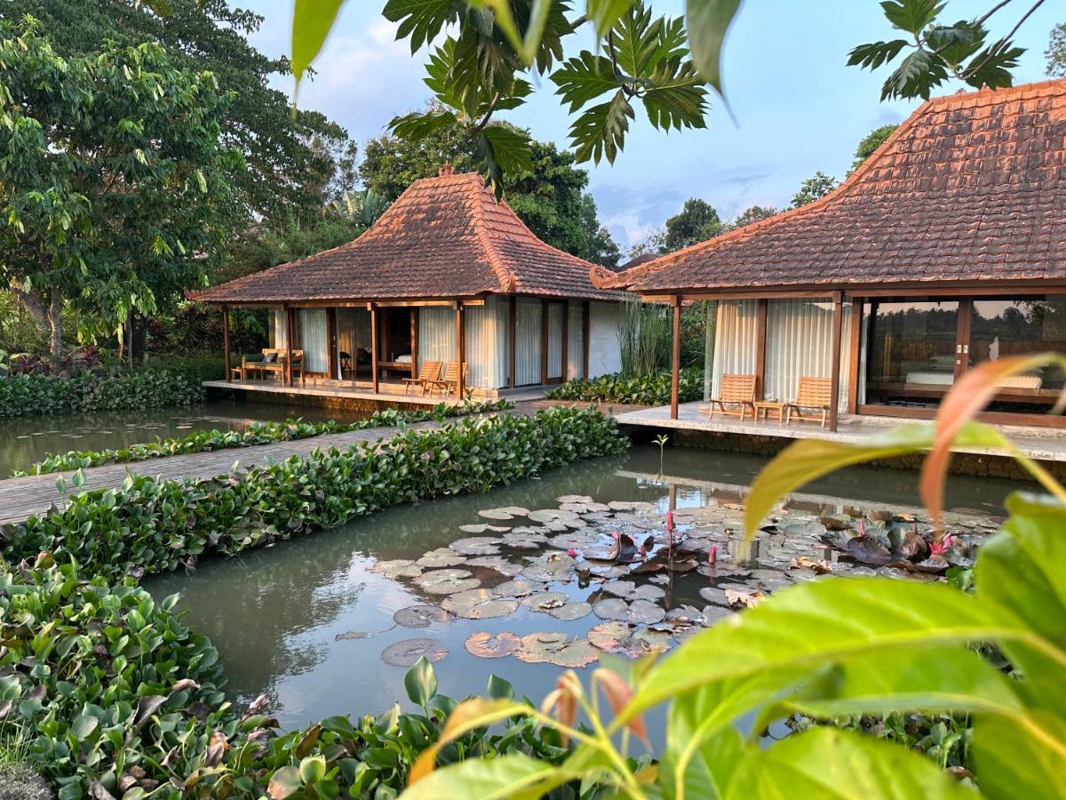 Griya Kcb Villa Ubud  Luaran gambar