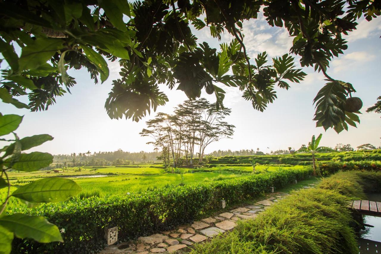 Griya Kcb Villa Ubud  Luaran gambar