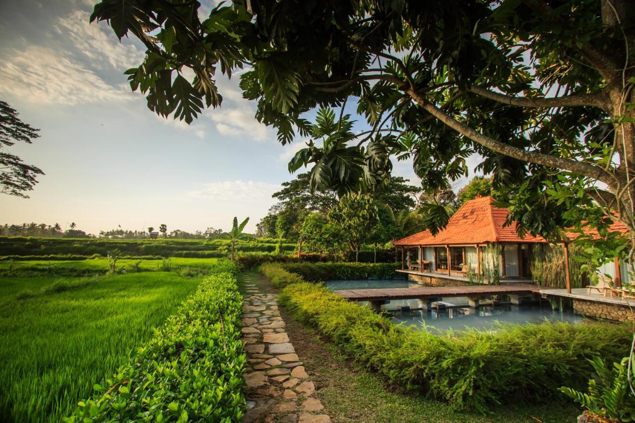 Griya Kcb Villa Ubud  Luaran gambar