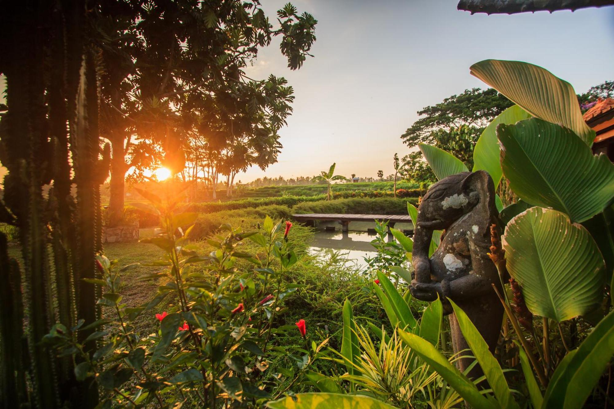 Griya Kcb Villa Ubud  Luaran gambar