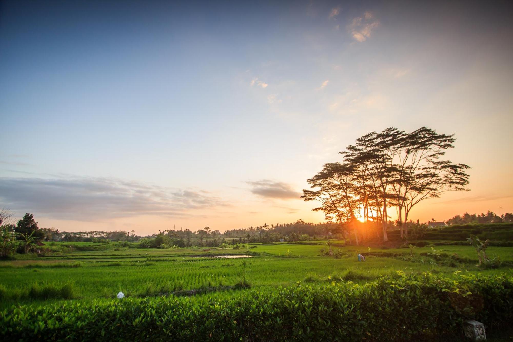 Griya Kcb Villa Ubud  Luaran gambar