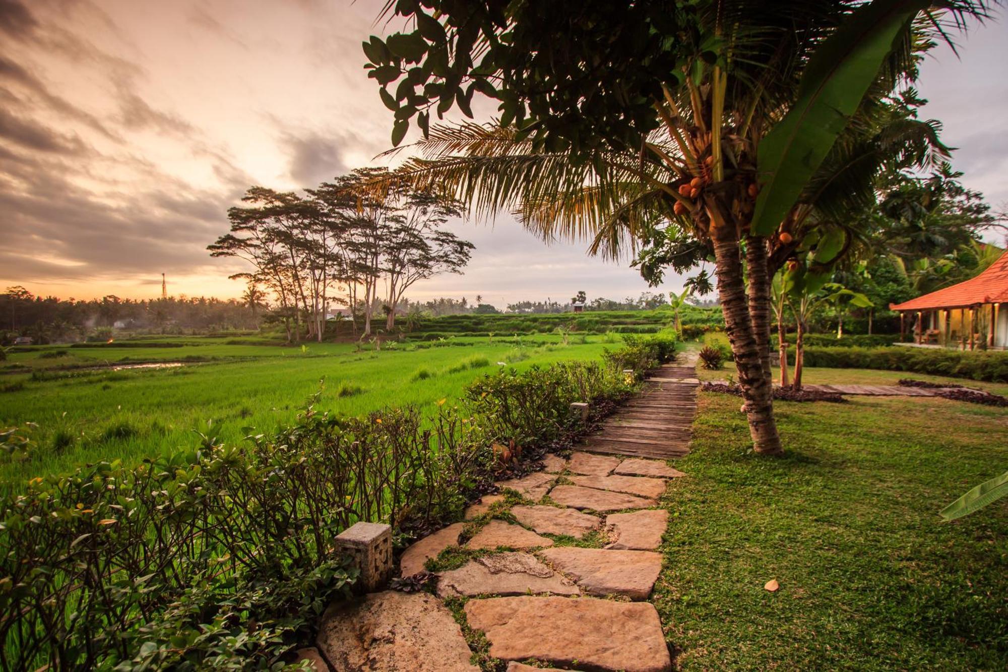 Griya Kcb Villa Ubud  Luaran gambar